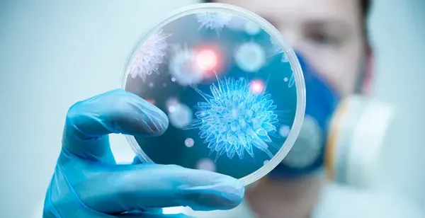 What are cellular therapies?